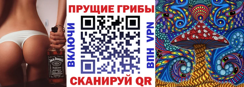 Псилоцибиновые грибы GOLDEN TEACHER  Арамиль 